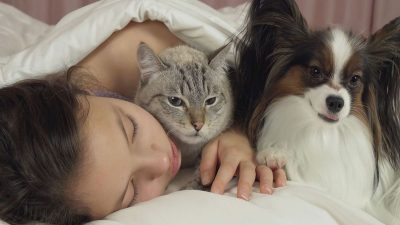 Les raisons pour lesquelles les chiens et les chats veulent toujours dormir avec leurs maîtres