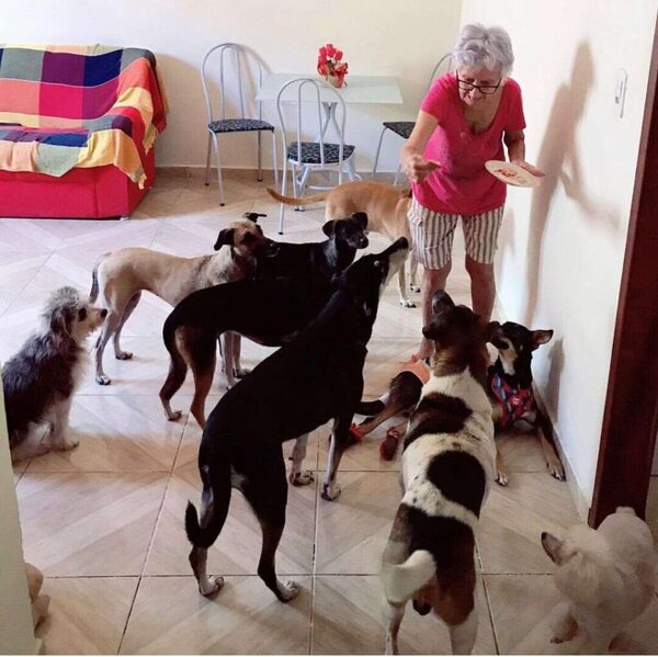 Une femme fête ses 89 ans entourée de ses 10 chiens adorés