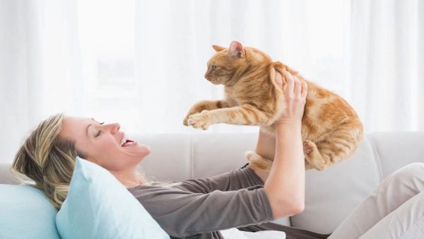 5 avantages d'avoir un chat que vous ne connaissiez probablement pas