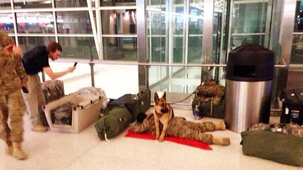 Ce chien fidèle veille sur un soldat épuisé qui s'endort à l'aéroport