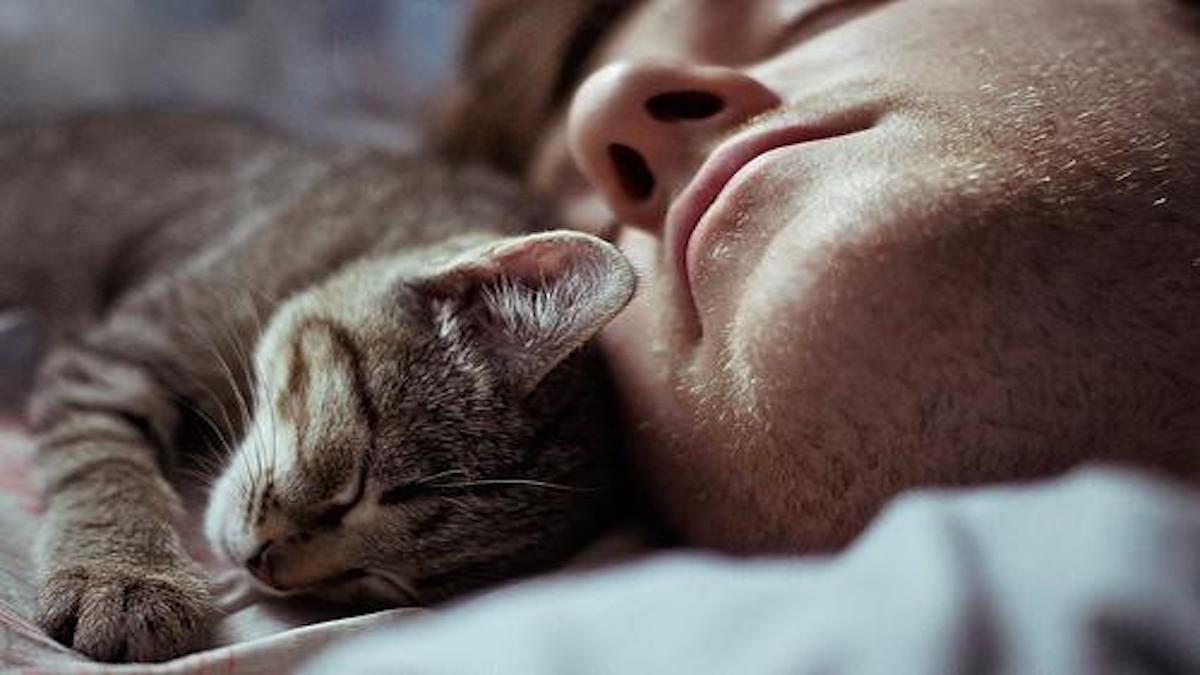 Conseils et astuces pour mieux dormir avec votre chat