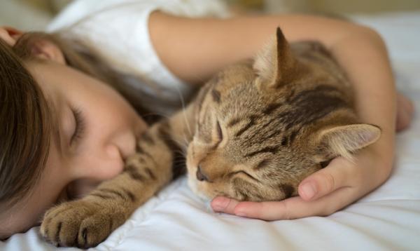 Conseils et astuces pour mieux dormir avec votre chat