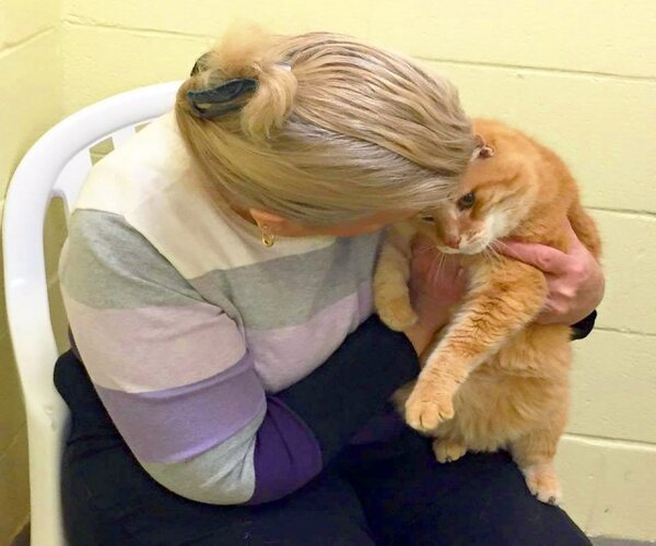 Elle adopte un chat dans un refuge, sans se douter qu'elle devrait revenir pour son meilleur ami