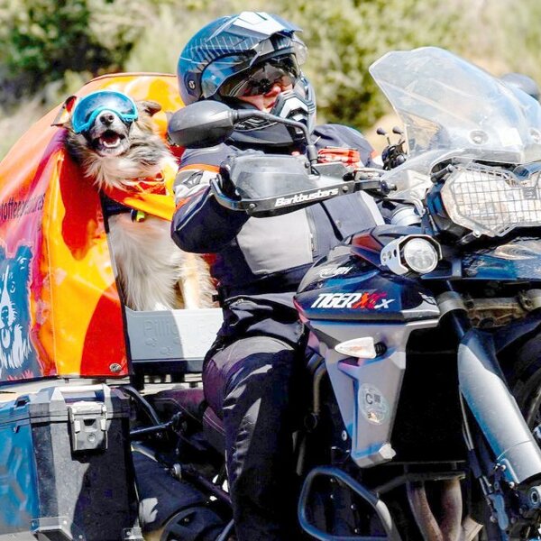Elle voyage à moto avec son chien en toute sécurité, ils parcourent l'Espagne ensemble