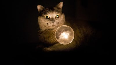 Les 7 pouvoirs magiques dont disposent les chats qui vont vous surprendre
