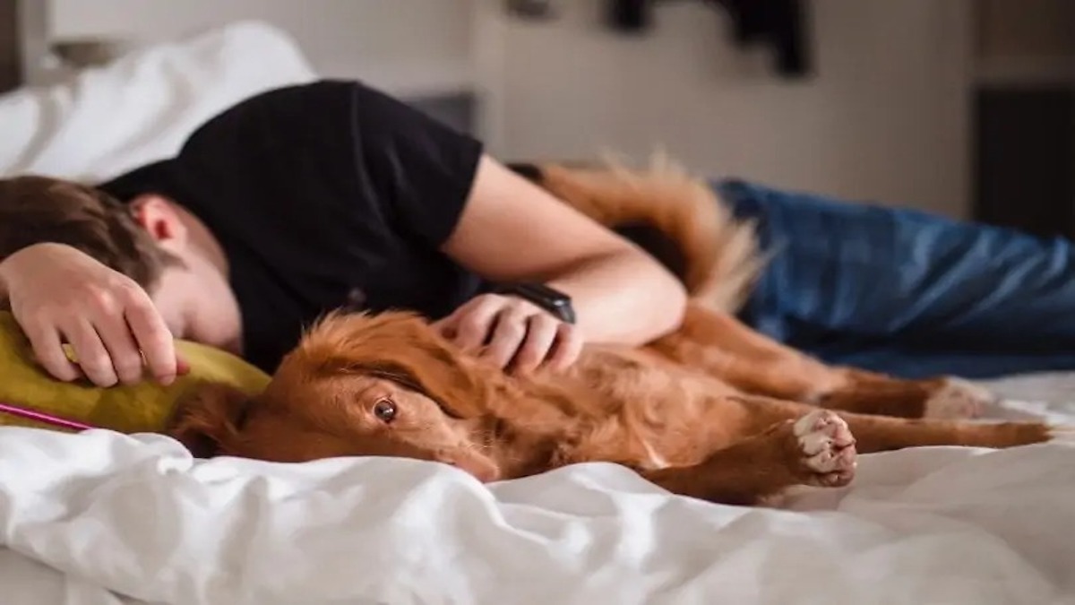 Les avantages et les inconvénients de dormir avec son animal de compagnie, selon des experts vétérinaires