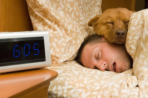 Les avantages et les inconvénients de dormir avec son animal de compagnie, selon des experts vétérinaires