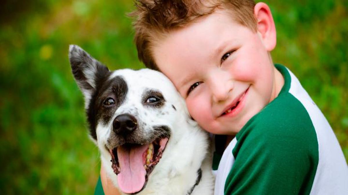 Les avantages pour un enfant qui grandit avec des animaux de compagnie