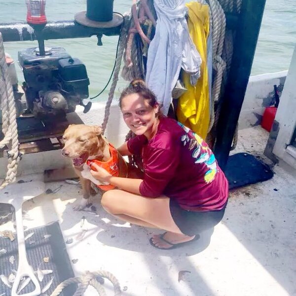Cette chienne est tombée à la mer et a survécu en nageant 10 Km durant 5 jours pour rentrer chez elle