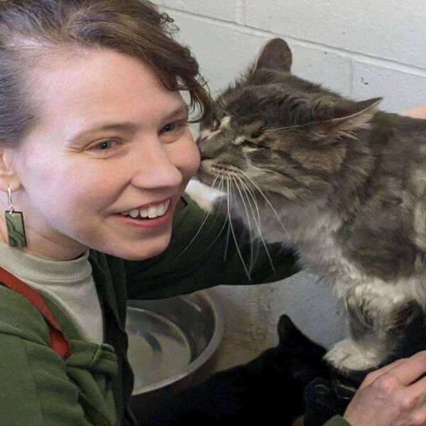 Shibby, le chat triste : en raison de sa condition médicale, personne ne voulait l'adopter