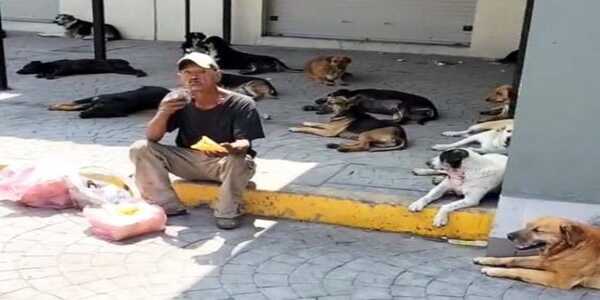 Un homme sans-abri vit avec 60 chiens errants : son histoire émouvante