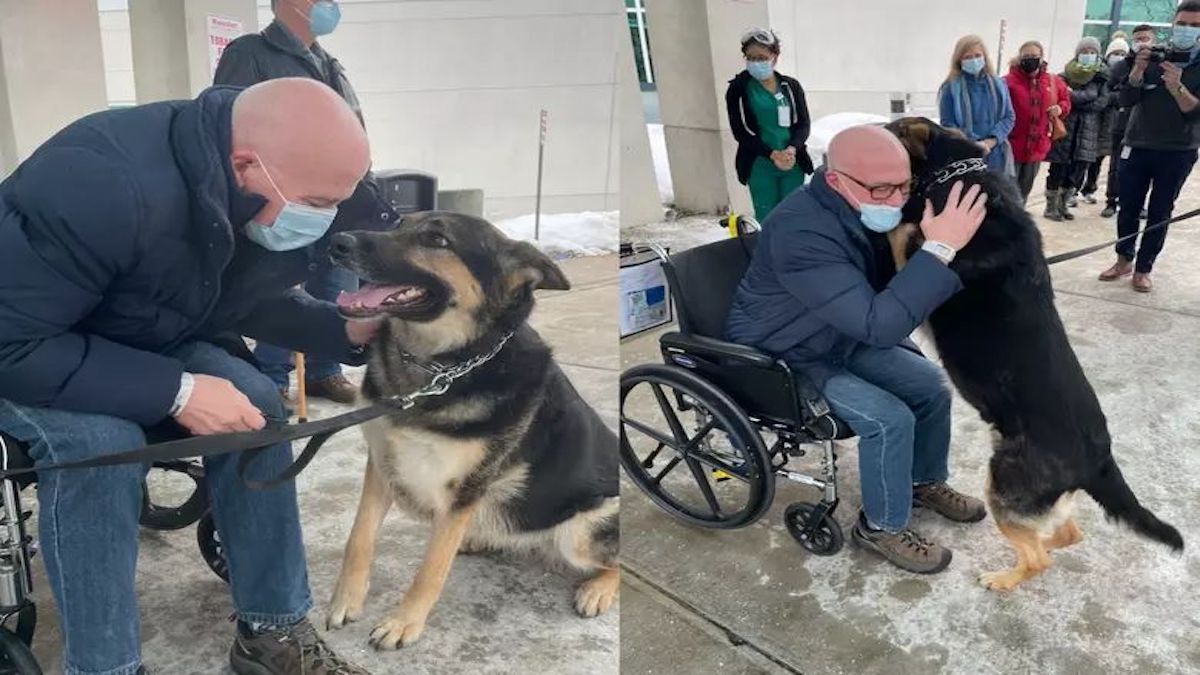 Un homme adopte une chienne que personne ne voulait adopter, elle a fini par lui sauver la vie