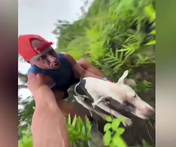 Un randonneur sauve un chien perdu sur l'un des sentiers les plus dangereux d'Hawaï