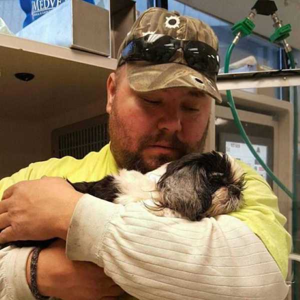 Un vétérinaire euthanasie par erreur la chienne, un miracle va se produire