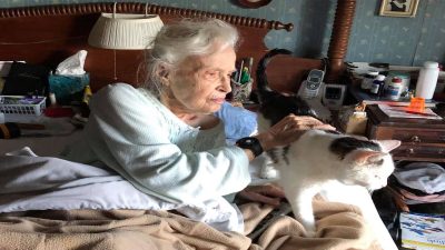 Une femme de 101 ans adopte le chat le plus âgé d'une fondation animale et c'est arrivé