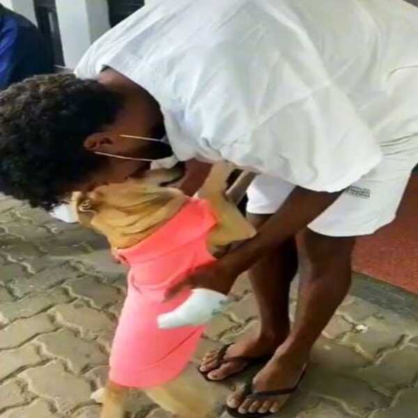 Une chienne fidèle à son propriétaire malade l'a attendu devant l'hôpital pendant 20 jours
