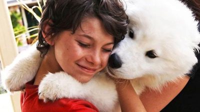 6 races de chiens qui préfèrent les humains