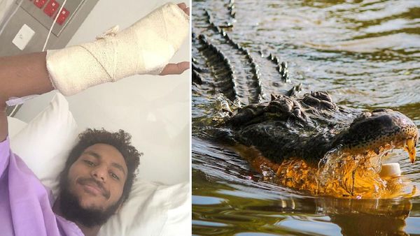 Cette technique ingénieuse a sauvé un homme de l'attaque d'un crocodile de 4,5 mètres