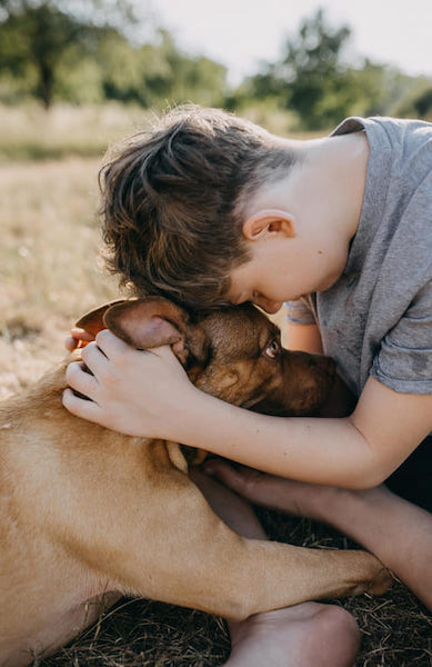Comment les chiens savent-ils que nous les aimons ? La réponse d'un expert