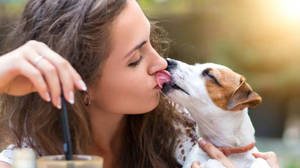Pouvez-vous embrasser vos animaux sur la bouche sans risque pour vote santé ? La réponse d'un expert