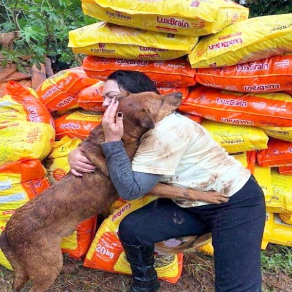 Elle donne de la nourriture à un refuge, l’un des chiens a une réaction émouvante