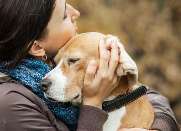 Les meilleurs conseils pour faire face au deuil suite à la perte de votre animal de compagnie