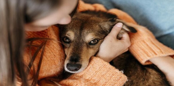 Les signes qui prouvent que votre chien souffre d’anxiété et de stress et comment y remédier