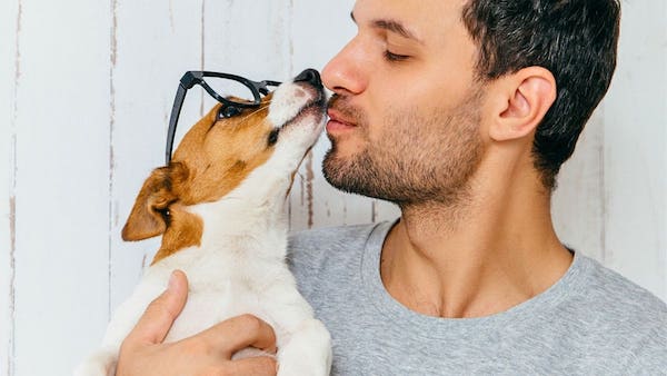Pouvez-vous embrasser vos animaux sur la bouche sans risque pour vote santé ? La réponse d'un expert