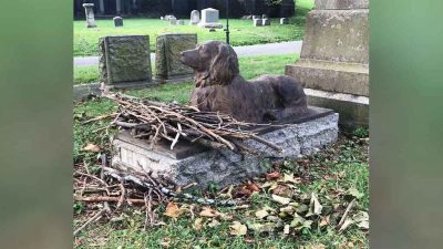 L’étrange raison pour laquelle les gens laissent des bâtons sur la tombe d'un chien centenaire
