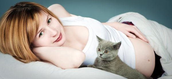Pouvez-vous toucher votre chat si vous êtes enceinte ? La réponse d'un expert