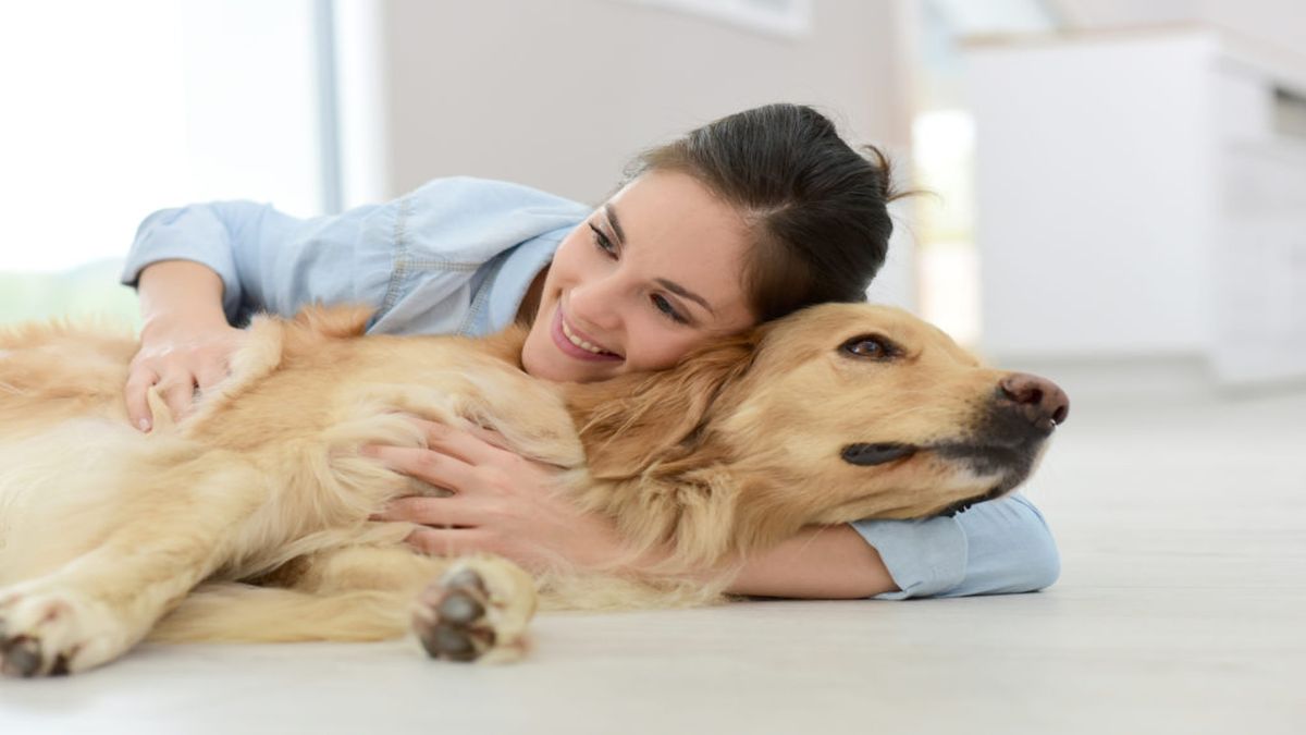 Tout savoir sur les problèmes digestifs chez les chiens : les causes et comment réagir