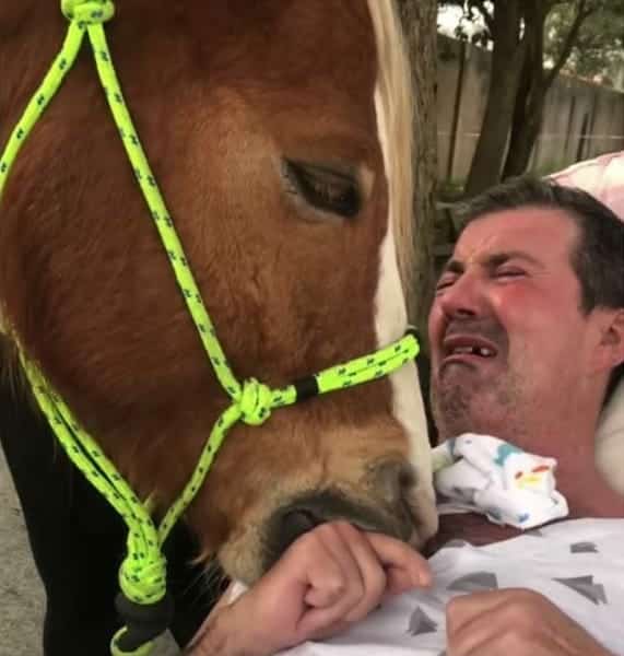 Un cheval s’approche de cet homme malade, sa réaction est déchirante