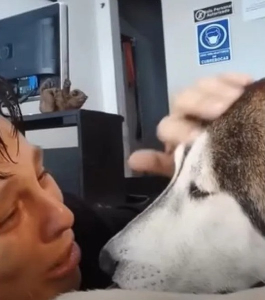 Un jeune garçon fait ses adieux à son chien malade et s’effondre