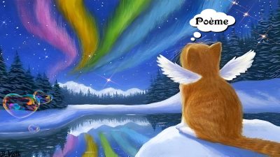 Un merveilleux poème à la mémoire de votre chat parti au paradis