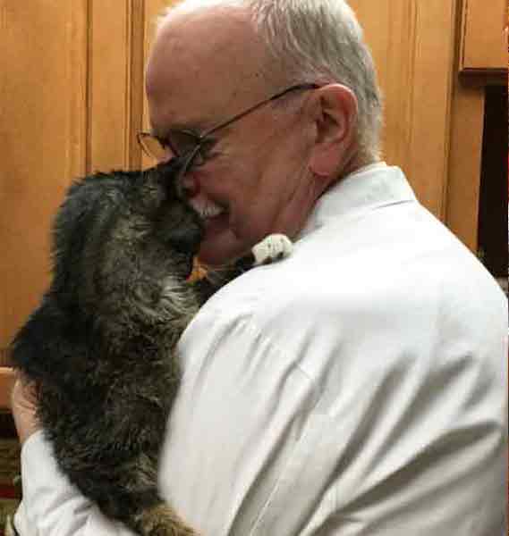 Une chatte de 15 ans reçoit pour la 1re fois un câlin, sa réaction est bouleversante