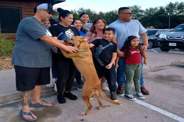 Une famille qui avait perdu tout espoir de retrouver leur chienne la trouve miraculeusement dans un refuge