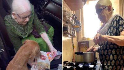 Une mamie se lève tôt tous les jours pour cuisiner pour les chiens errants, "leur amour est mon médicament"