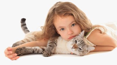 Voici comment apprendre facilement à un enfant à soigner un chat