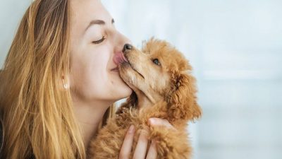 Voici comment votre chien vous dit qu’il vous aime