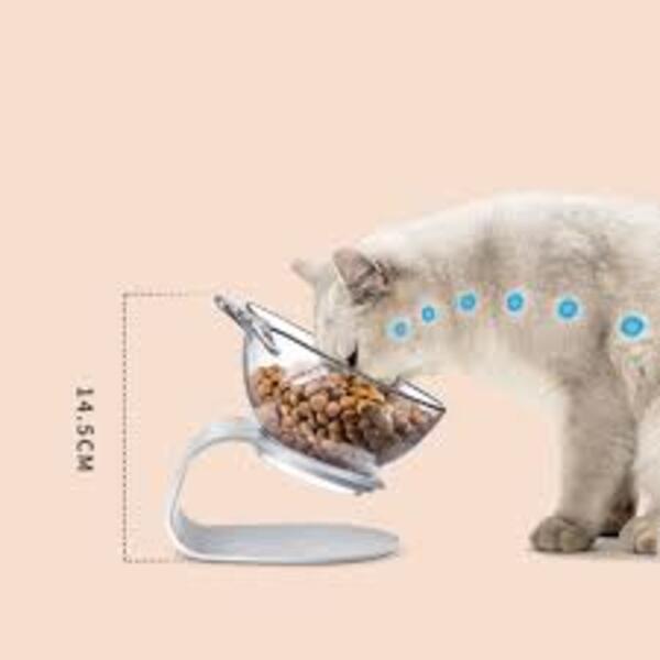 Voici pourquoi vous devriez surélever le bol de nourriture de votre chat selon des experts