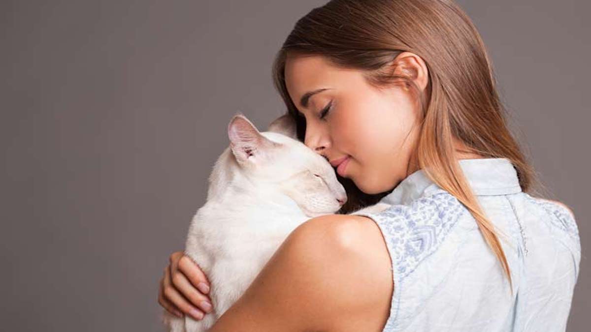12 conseils pour bien vous entendre avec votre chat et créer un lien fort