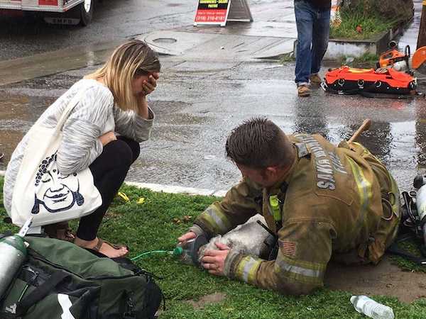 Ce pompier sort un chien au seuil de la mort d’une maison en feu et fait tout pour lui sauver la vie, un héros