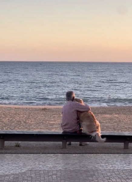 Elle filme un homme avec son chien sur la plage, la scène bouleverse tout le monde