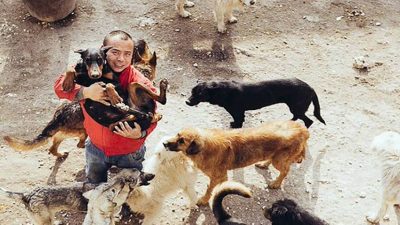 Il dépense sa fortune pour sauver des chiens des abattoirs en Chine et leur offrir un foyer