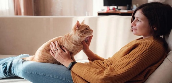 Le 6ème sens des chats : ce qu’ils peuvent percevoir chez leurs propriétaires