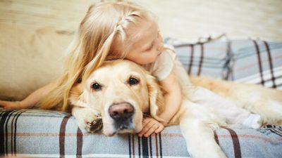 Pourquoi vous ne devez pas prendre votre chien dans vos bras pour lui faire un câlin selon des experts