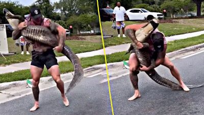 Un ex-marine se bat avec un crocodile en pleine rue, c’est impressionnant
