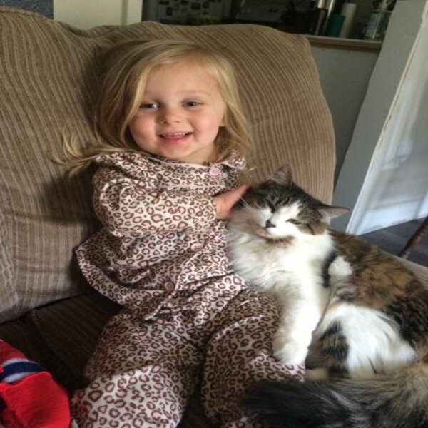 Une fillette perd un bras à cause d'un cancer et adopte un chaton à 3 pattes, ils sont inséparables