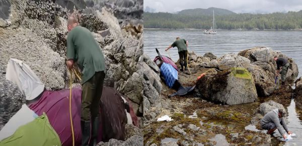 Une orque piégée dans les rochers hurle de désespoir pour qu’on lui vienne en aide