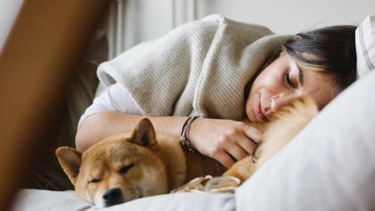 Est-il vraiment sain de dormir avec votre chien ou votre chat ? Des experts répondent